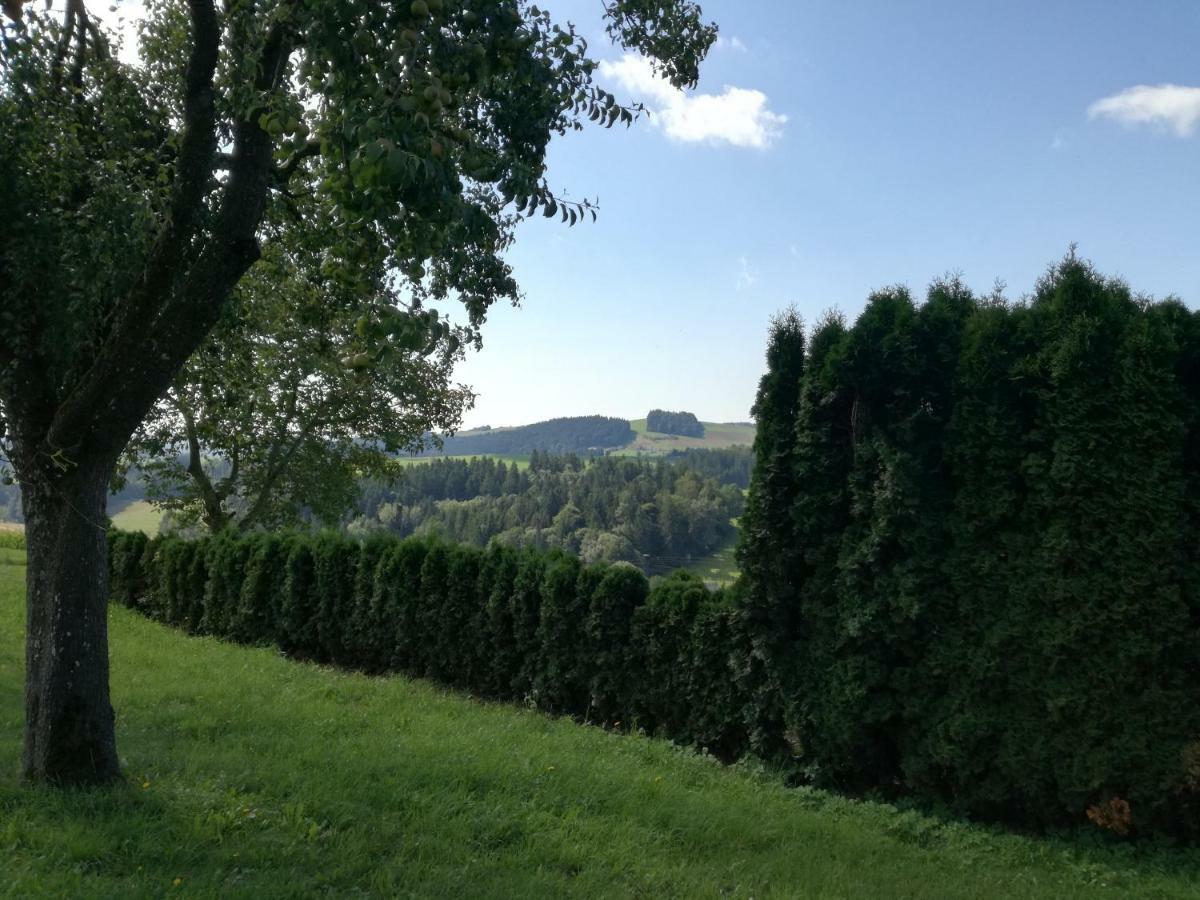 Vila Jenny Lembach im Mühlkreis Exteriér fotografie