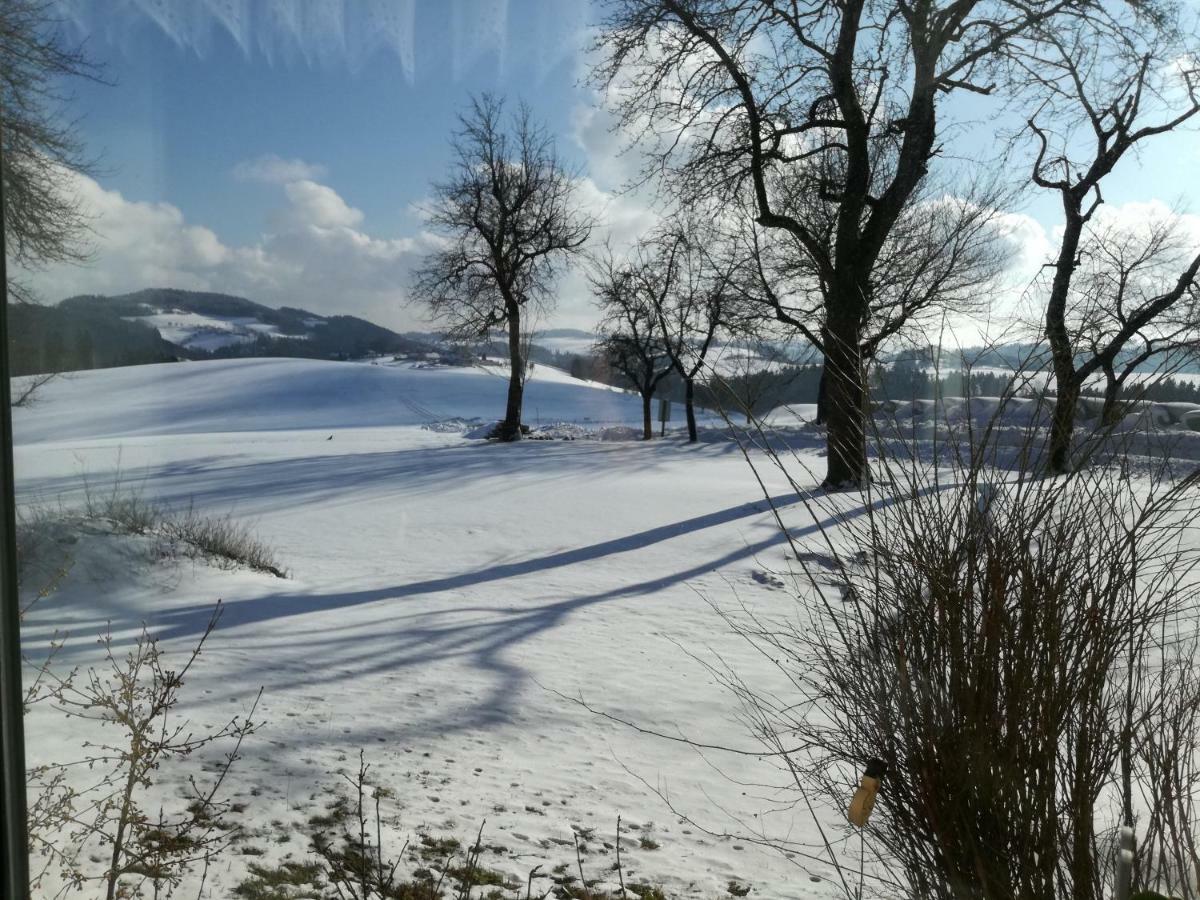Vila Jenny Lembach im Mühlkreis Exteriér fotografie
