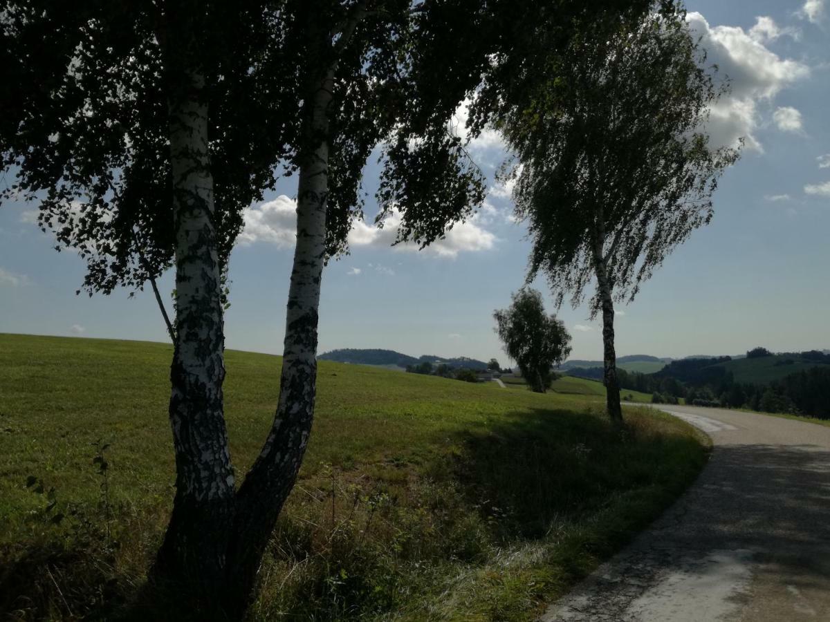 Vila Jenny Lembach im Mühlkreis Exteriér fotografie