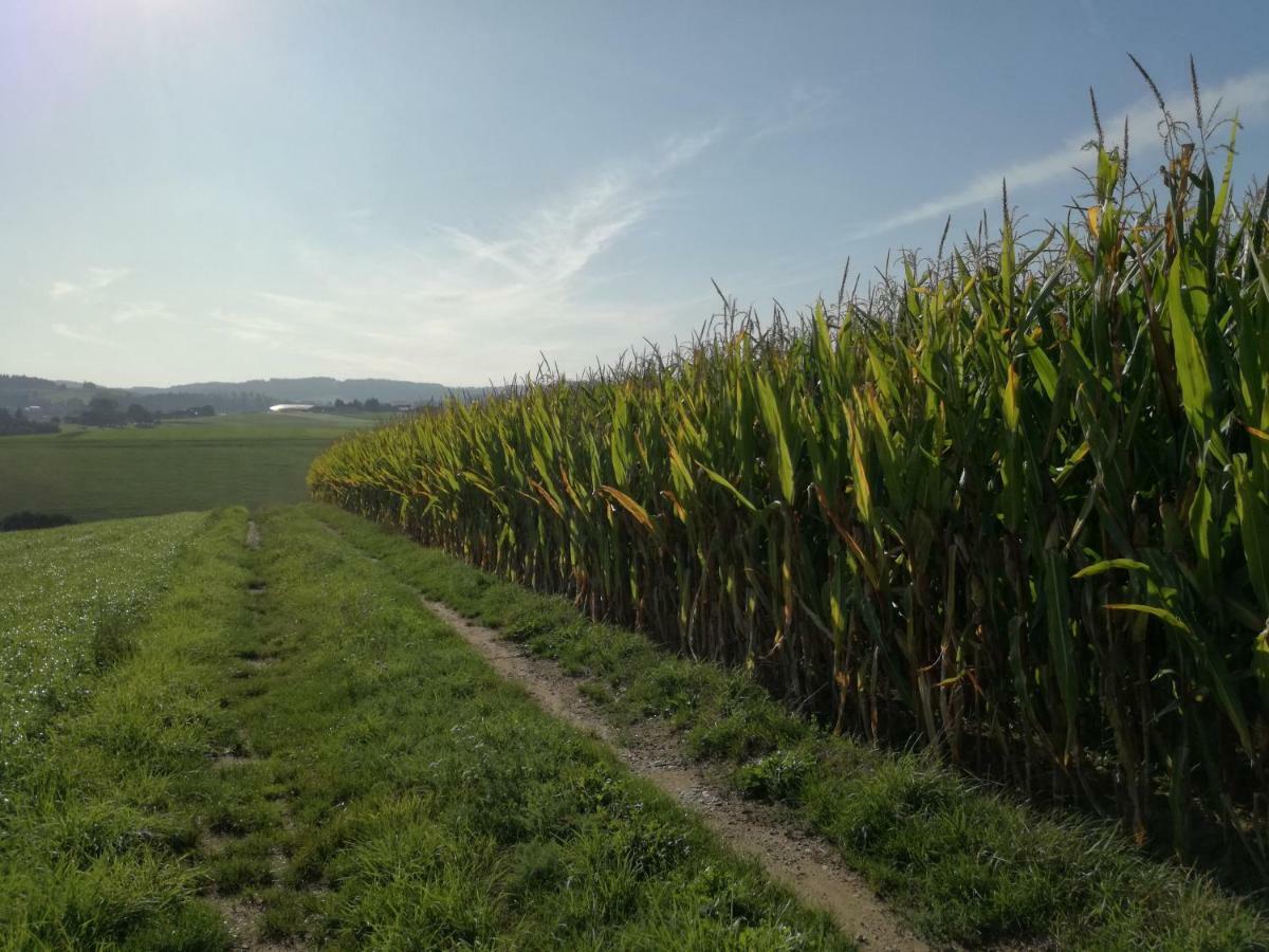Vila Jenny Lembach im Mühlkreis Exteriér fotografie