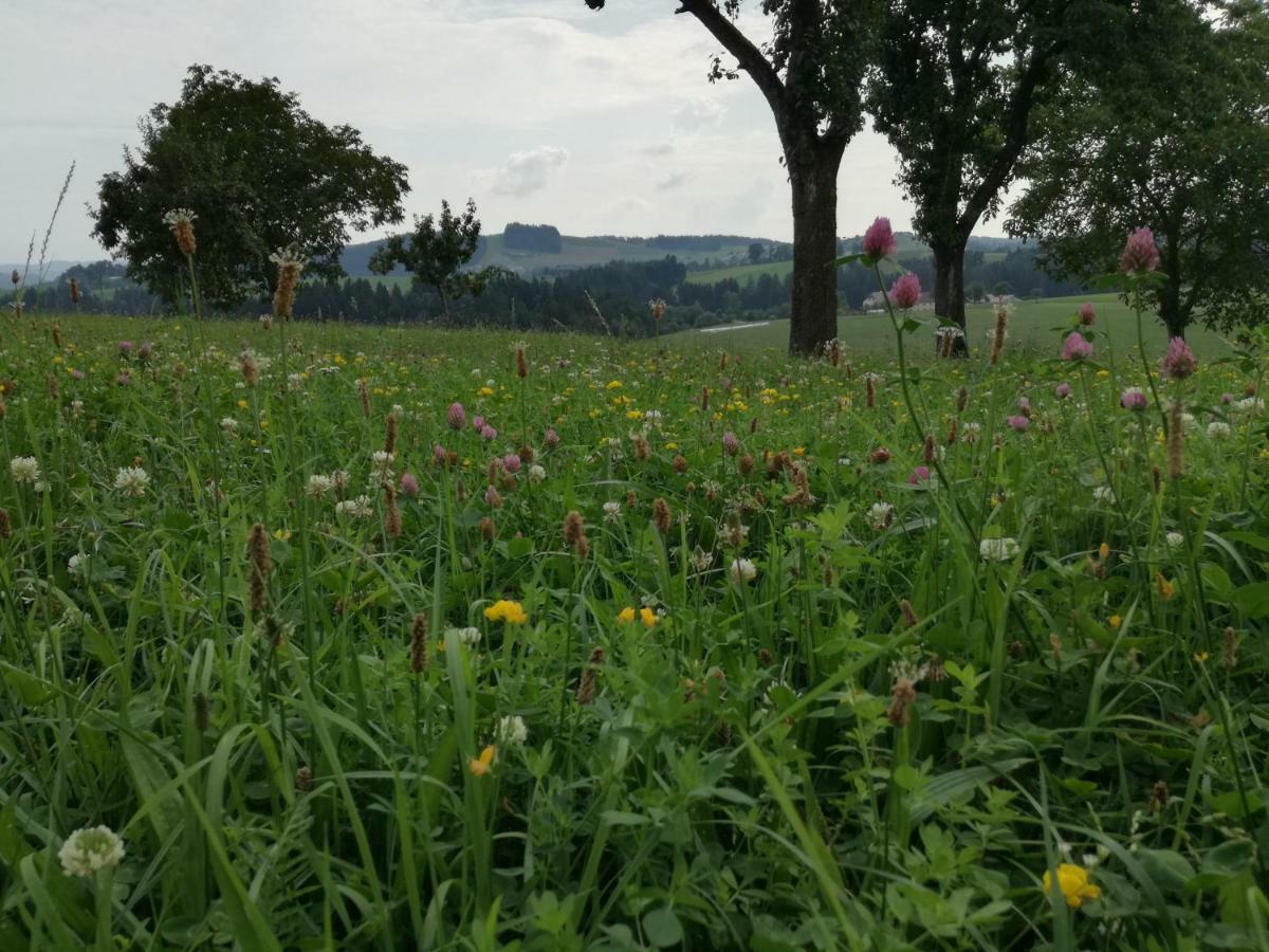 Vila Jenny Lembach im Mühlkreis Exteriér fotografie
